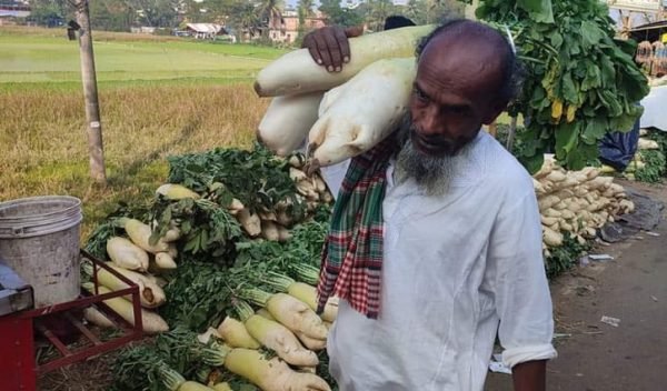 ভান্ডারী মুলা ২ প্যাকেট = ৮৫০ টাকা